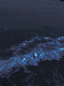 當(dāng)鯨海吻落時