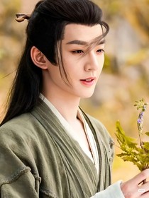 綜影視：花朝