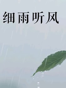 细雨听风