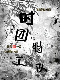 时团：特工队