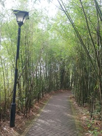 我的00后小侄子锁事