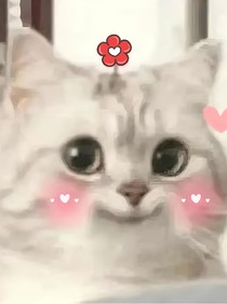 快穿（影視）：開心就好