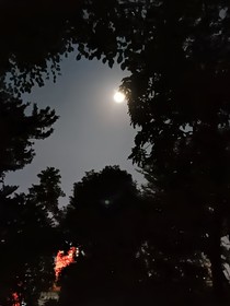 我自無光之地