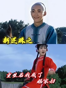新泰燕之重生后我成了福家妇
