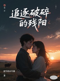 追逐破碎的殘陽
