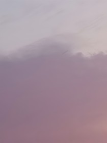 辞岁逢春归
