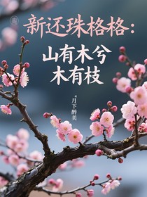 新还珠格格：山有木兮木有枝