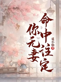 命中注定你无妻