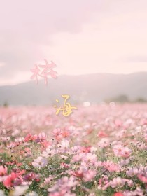 椛海