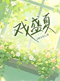 戏盛夏