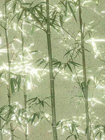 命中的一劫