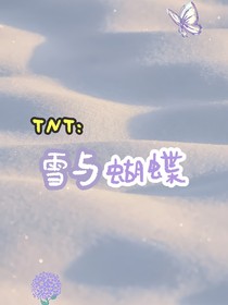 TNT：雪與蝴蝶