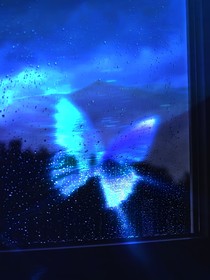 商界情：陸少的致命合約