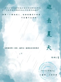 逝去夏天