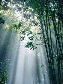 倾靳合集