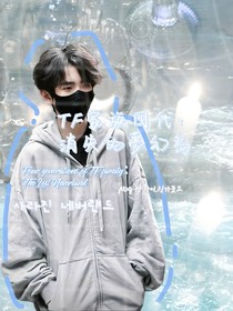 TF家族四代：消失的夢(mèng)幻島