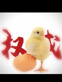 某山本草
