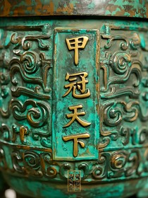 甲冠天下