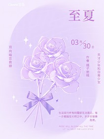 至夏小说