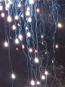 武林之江湖外史