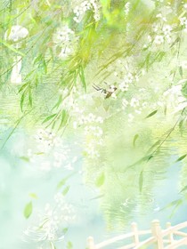 沈淮安我宋芮一定会让你后悔的……