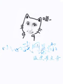 TF四代：小心我网暴你