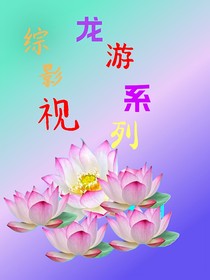 綜影視：龍游系列