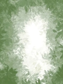 浮生梦之盛夏