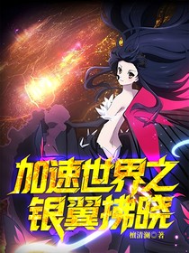 加速世界之銀翼拂曉
