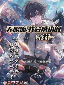 无限流：我会成功的，等我……