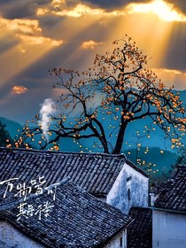 重生之我的灵根是把枪