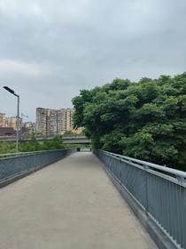 明確……恍惚