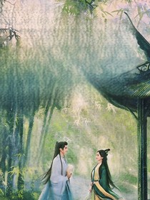 综影视：不一样的女主女配