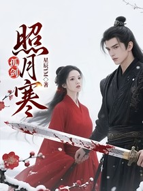 孤劍照月寒