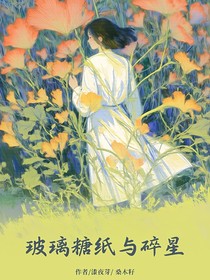 玻璃糖纸与碎星
