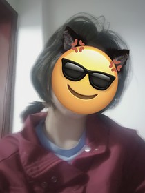 散文之病态