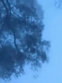 那些形形色色的人（中國古代篇）