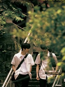 文轩：梧桐树上见微霜