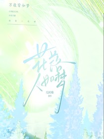 花落人如梦