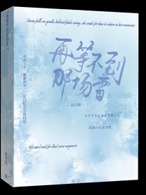 再等不到那場(chǎng)雪