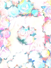 TOP：夢西游