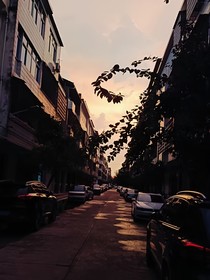 魔拉的日常