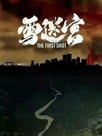雪迷宫：愿与愁