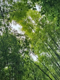 專門用來(lái)寫文案
