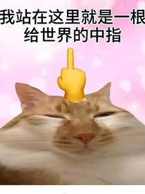 喵喵的积累