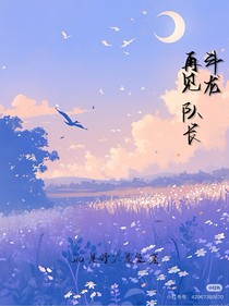 斗龍：再見，隊長