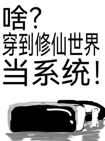 啥？穿到修仙世里当系统！