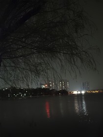 归巢雁