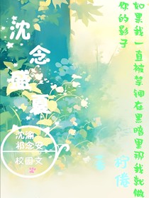 沈念盛夏