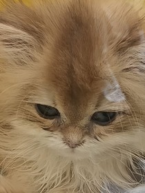 07女孩职高日记